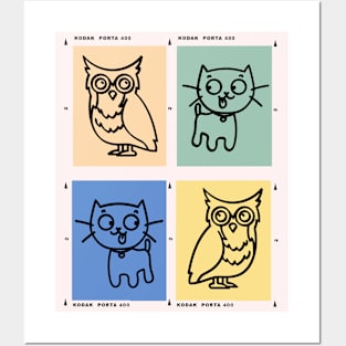 A cat and an owl Posters and Art